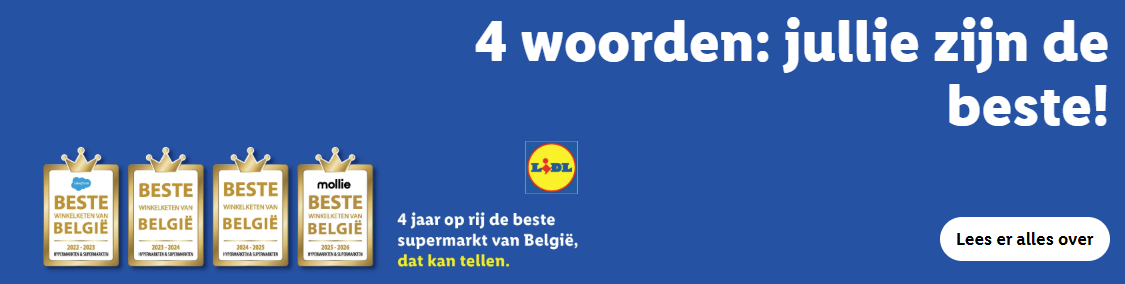 Lidl - Webesite.png